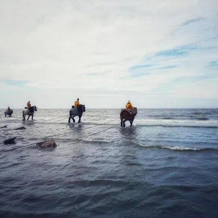 By Belgian Coast With Sea Views *