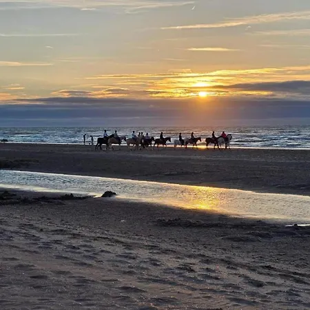 By Belgian Coast With Sea Views Appartement *
