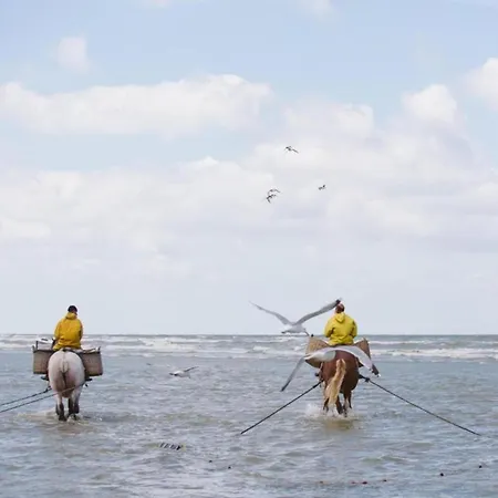 By Belgian Coast With Sea Views * Oostduinkerke